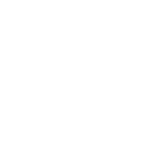 EMS-chemie