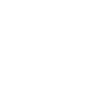 bellevue-palace