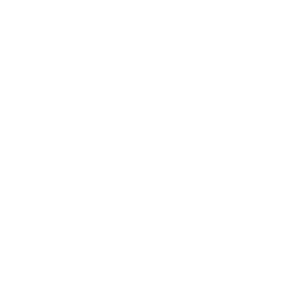electrosuisse