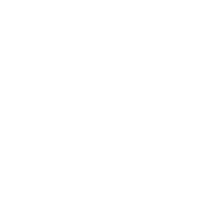 svit