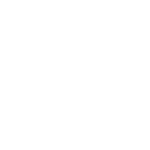 swarovski