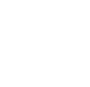 swisspower